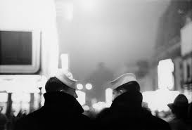 Giusi Gallé 🪻 tweet media