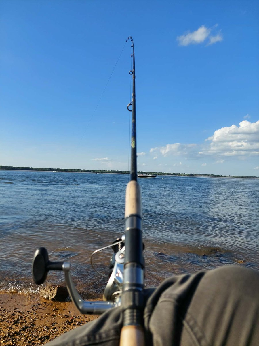 javier_led's tweet photo. #BuenViernes 🐠 https://t.co/Kzpp5VukEJ