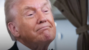 lfcsweeney's tweet image. Resting 'shit face's' love child gets his comeuppance...

#GoGreens