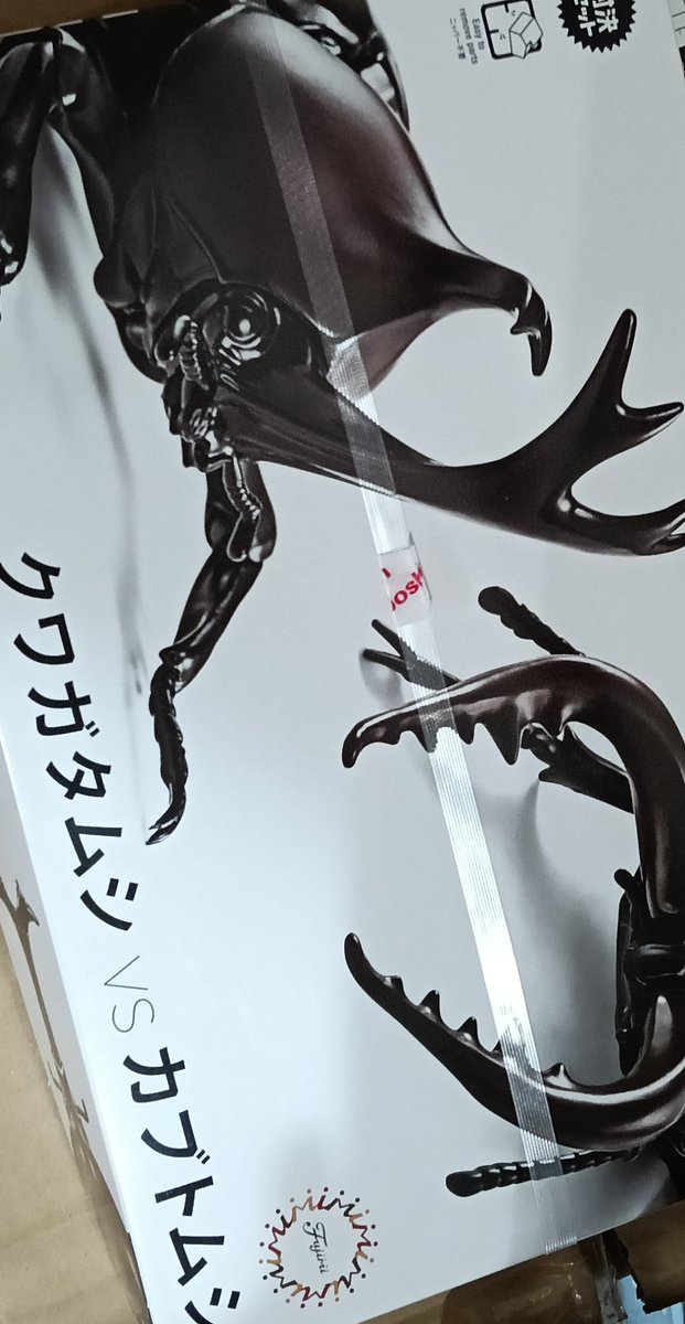 テストが終わり、昨日ポイントで買ったカブクワプラモとクリスマス