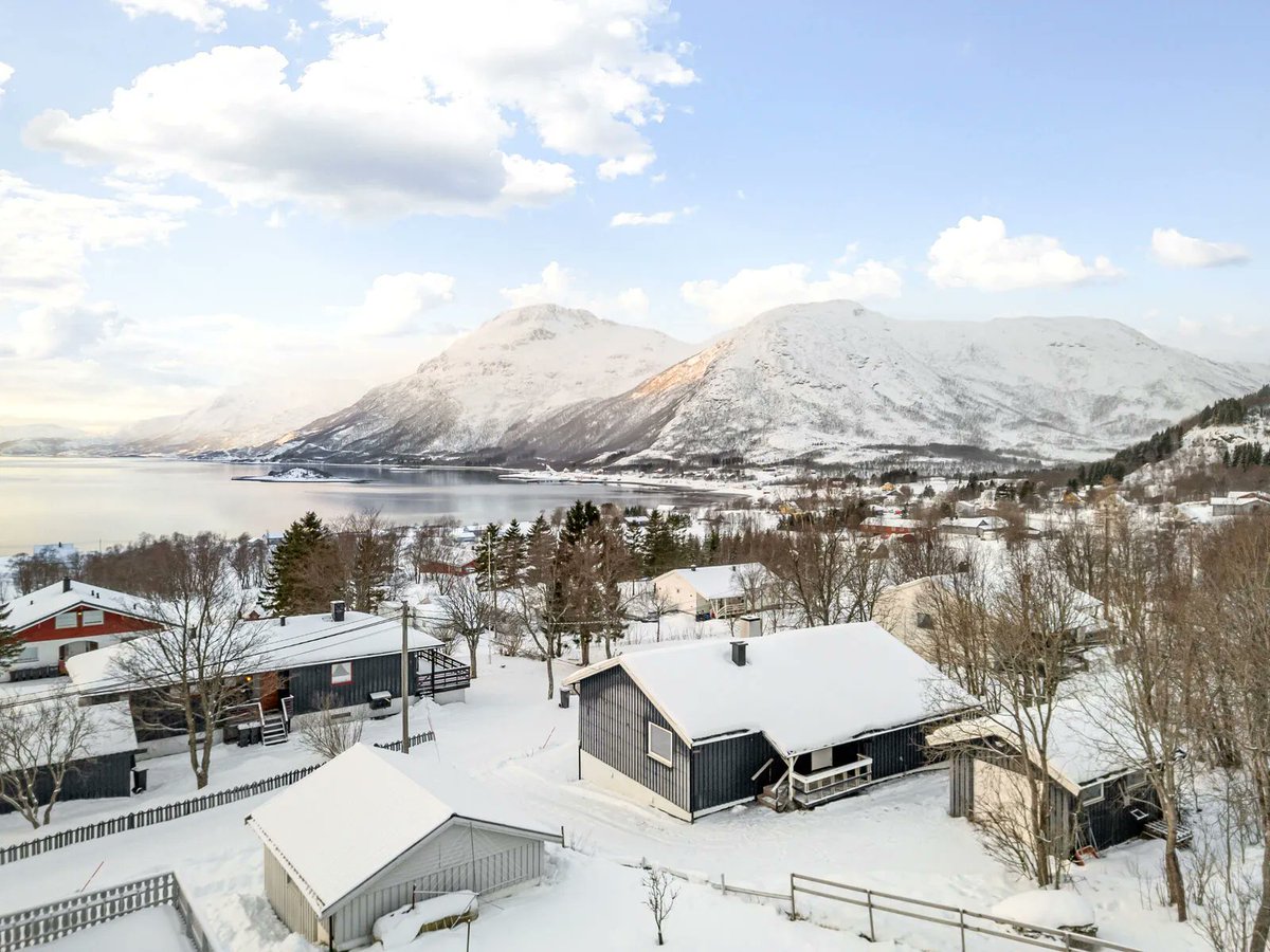 Juha Pekka Salo tweet media