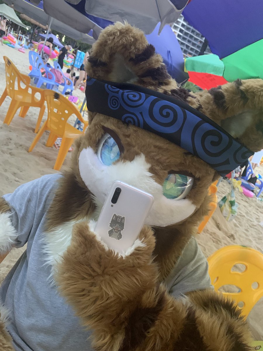 凯特冥 tweet media