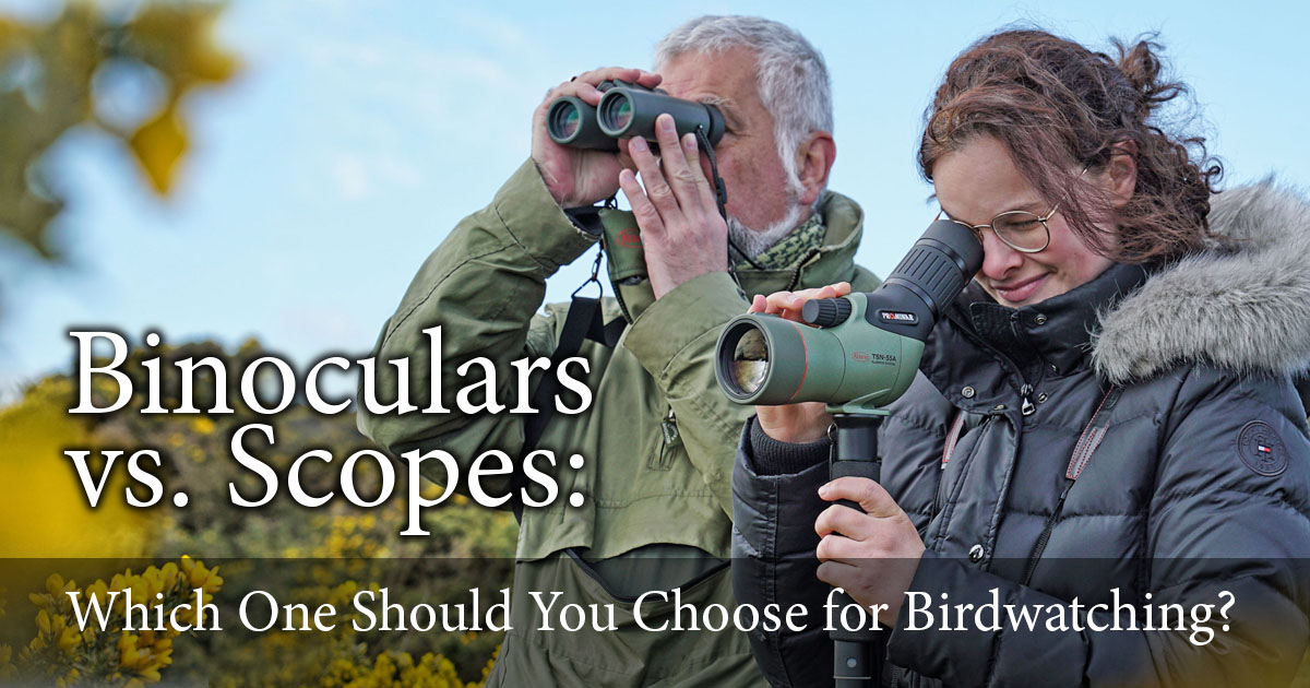 Kowa Sporting Optics tweet media