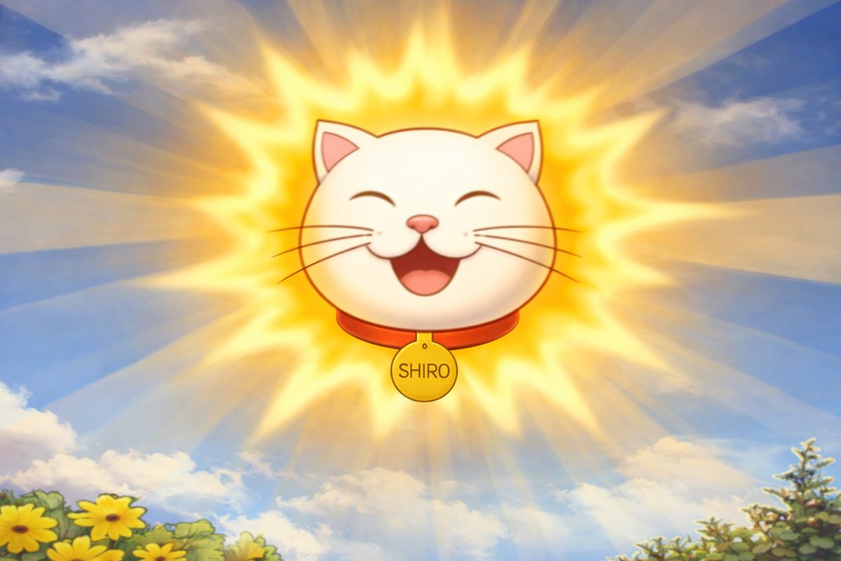 AvishanCrypto tweet media