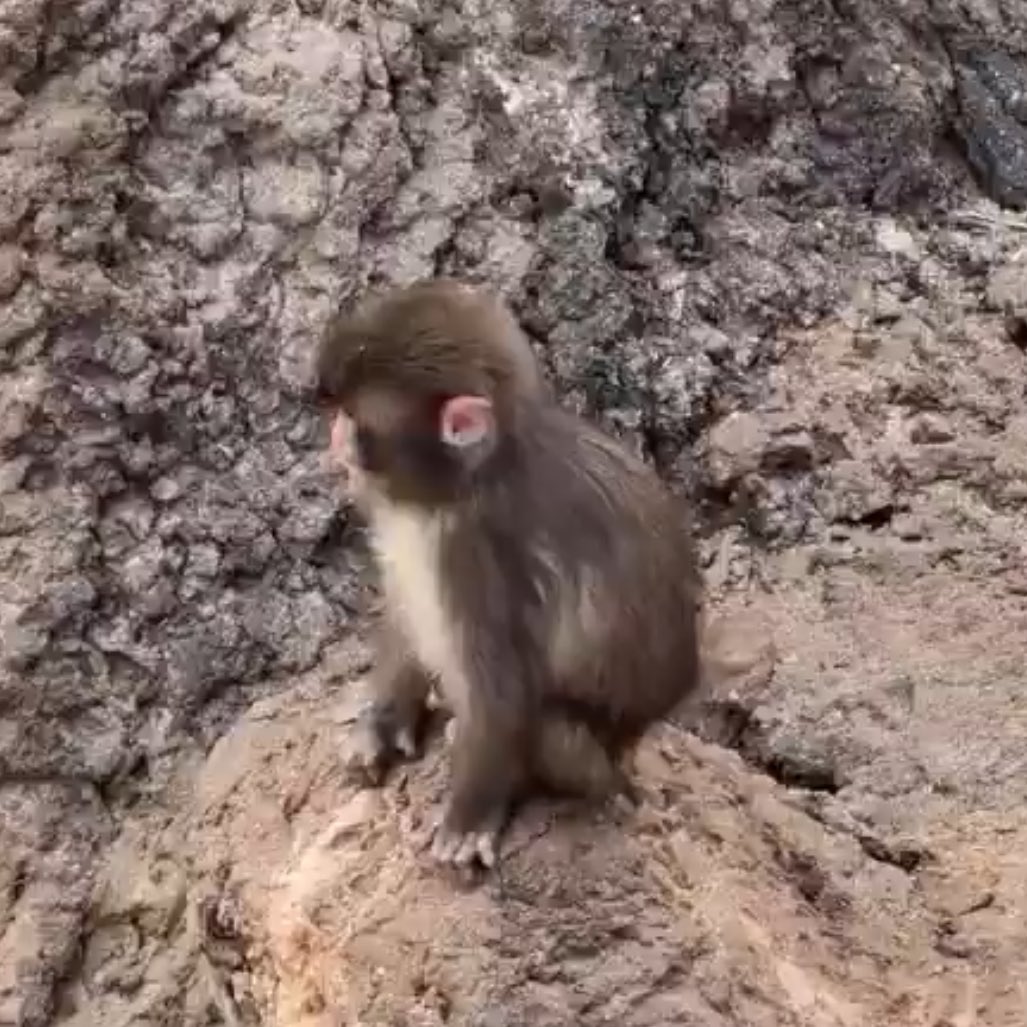 ก้อทำอะไรอยู่หรอพั้นจิน่ะ