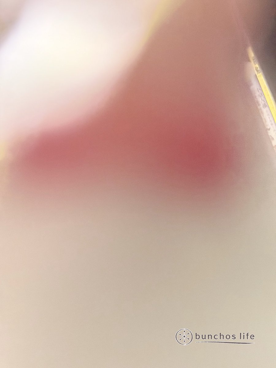 こむぎ🕊️ (@komugi_chan55) / Posts / X