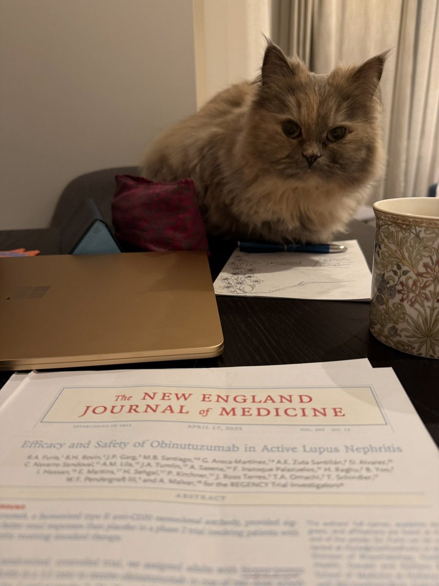 Lilase Hakoun tweet media