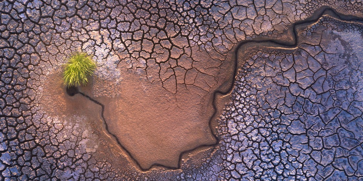 Federmanager tweet media