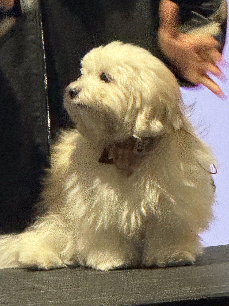 너무 귀여웡 ㅠㅠㅠㅠㅠㅠㅠㅠㅠㅠ
미쳤엉 ㅠㅠㅠㅠㅠㅠ