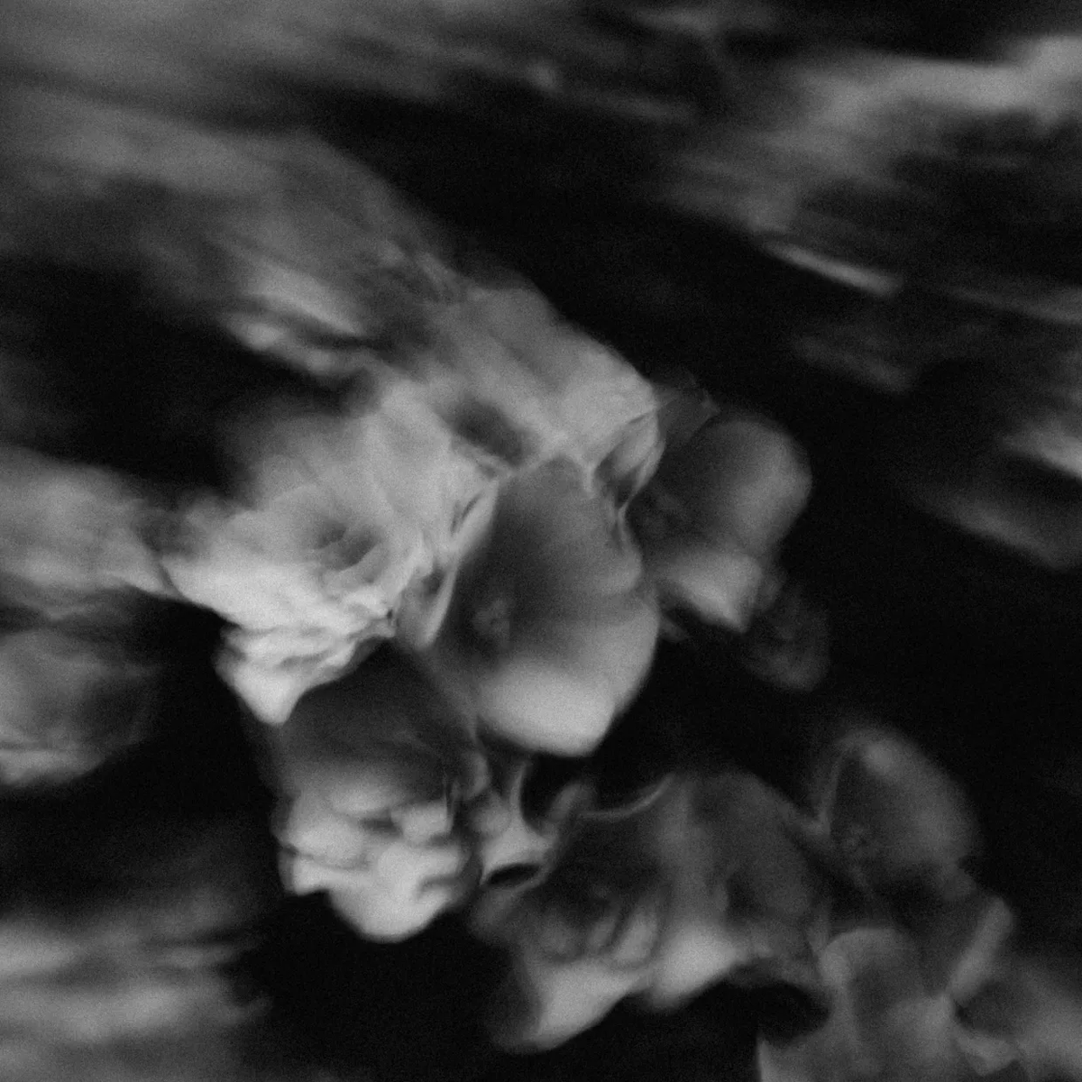OthermanRecords's tweet photo. ◤◢◤ NEW RELEASE ◢◤◢
[OTMN101] nasanoa - I've been doing well

https://t.co/WfkBoYYJGr
https://t.co/4Uli3sNJs2

co-composer &amp; remixers:
axtrmnt / Flayos / kyou1110 / sHimaU

#Breakcore https://t.co/TcLyo4ImC0