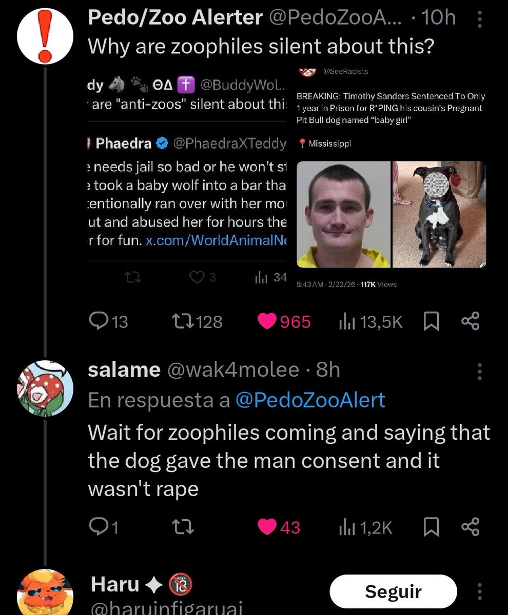 FurgiDash 🇪🇸 (en la cola del paro) tweet media