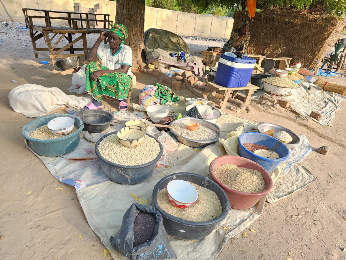 AdeshTripathee's tweet photo. Cameroon is facing a fast‑escalating food insecurity. Over 3 million people are already in acute food insecurity—and the outlook is worsening. The IFRC has launched an Appeal for 9.6M CHF to support the most affected families. https://t.co/KVJx4Sgt4H