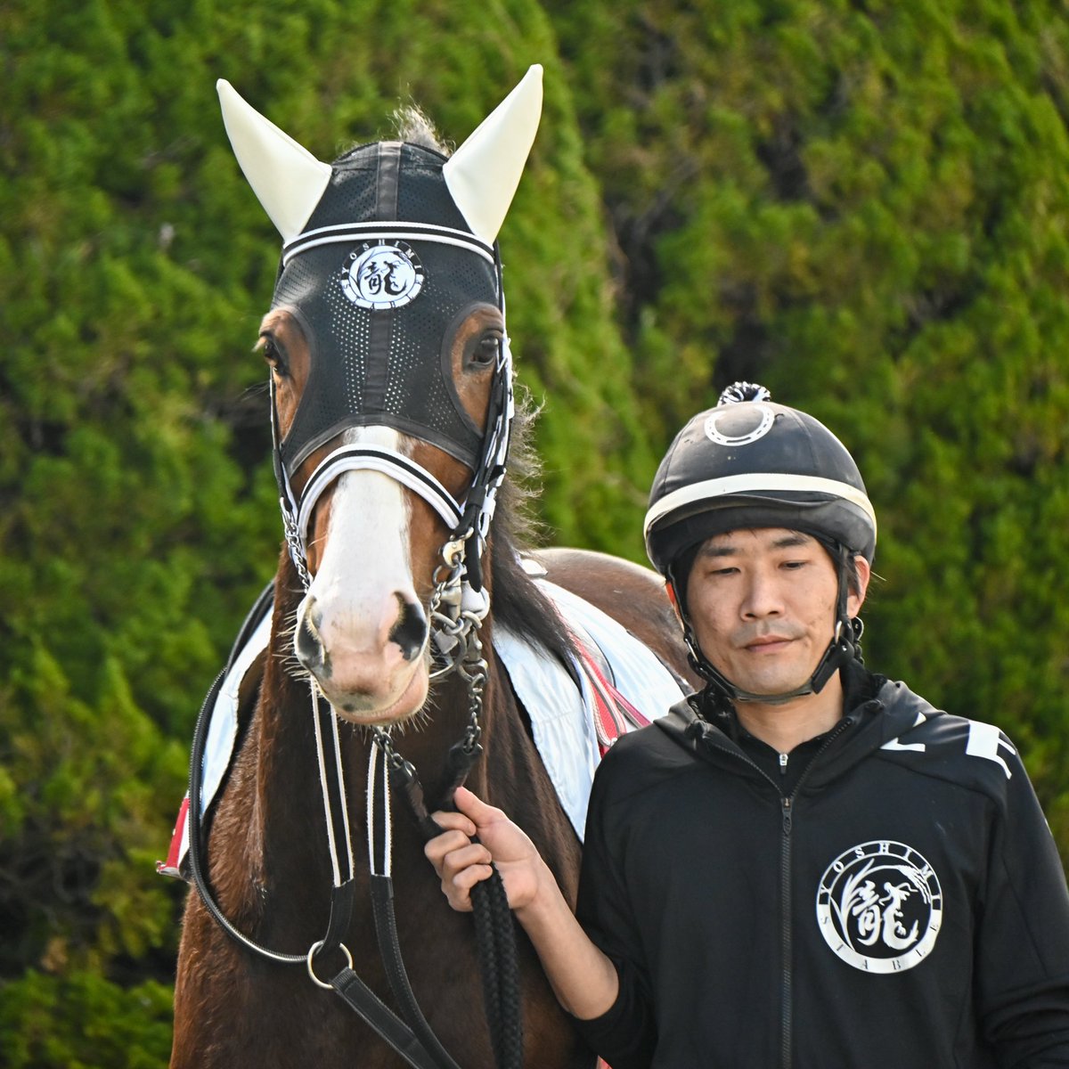 アバカス (@abacus_pangya) / Posts / X