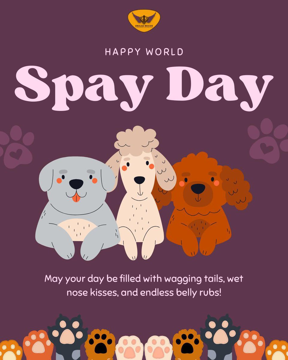 KhalsaRescue's tweet photo. 🐾💙 World Spay Day 💙🐾

On this World Spay Day, let’s stand together for responsible pet parenting and a kinder world for our furry friends. 🐶🐱

Spaying and neutering not only prevents unwanted litters but also protects animals from serious health issues and reduces the number of strays struggling on the streets. Every small step counts toward a healthier, safer community for them.

Be the reason a life is saved.
Adopt. Don’t shop. Spay. Neuter. Care. 🐾✨

#WorldSpayDay #ResponsiblePetOwnership #AdoptDontShop #CompassionInAction