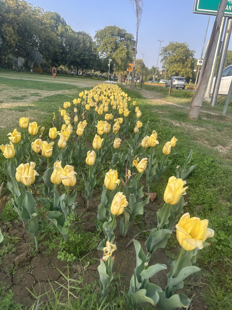 Geetu (she/her) tweet media