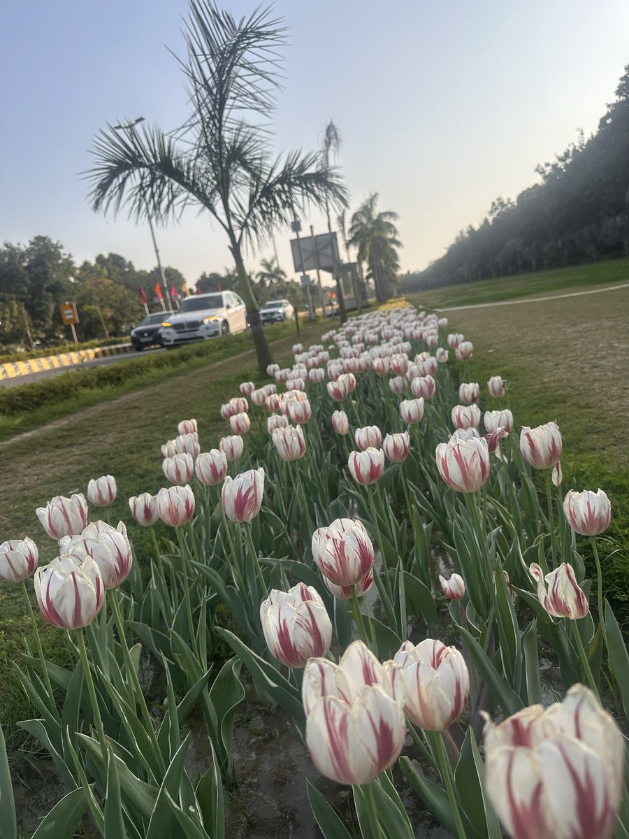 Geetu (she/her) tweet media