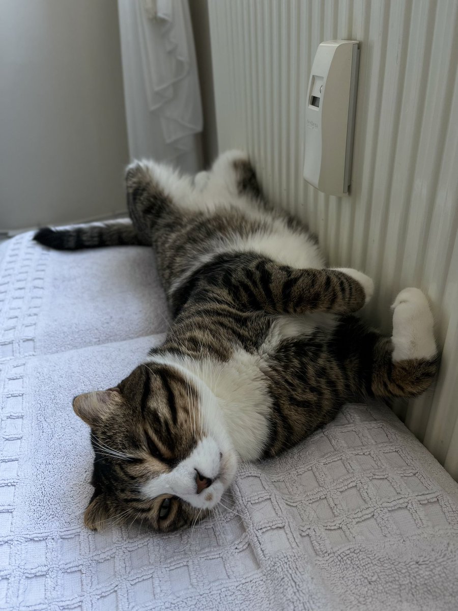 İftara yakın kimler böyle 😅