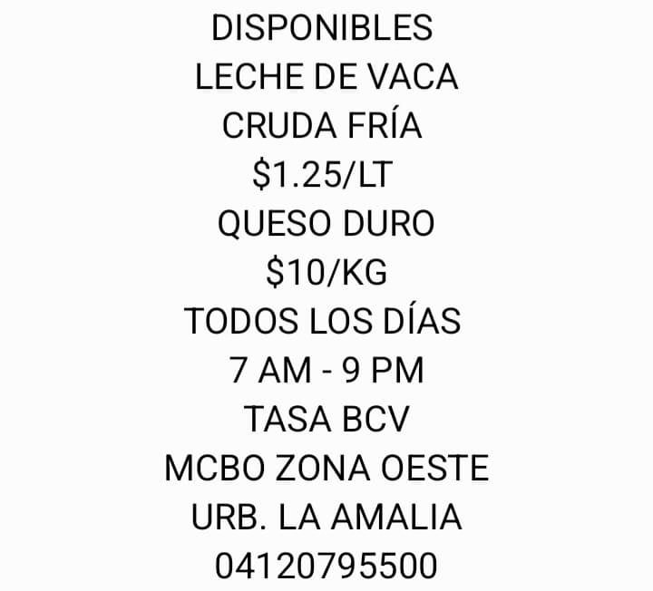 Robin Castro 🇻🇪 tweet media