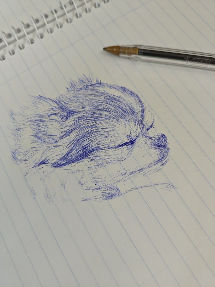 1 UNA unidad de vez más q mi compañera insoportable me repite q estoy dibujando un gato cuando dibujo a kkami ya arrastro por el laboratorio de los pelos, aviso