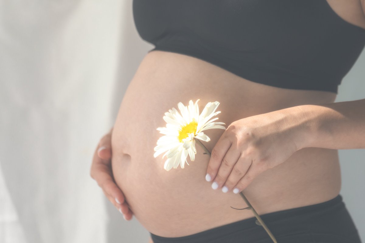 Fundación Iberoamericana de Nutrición tweet media