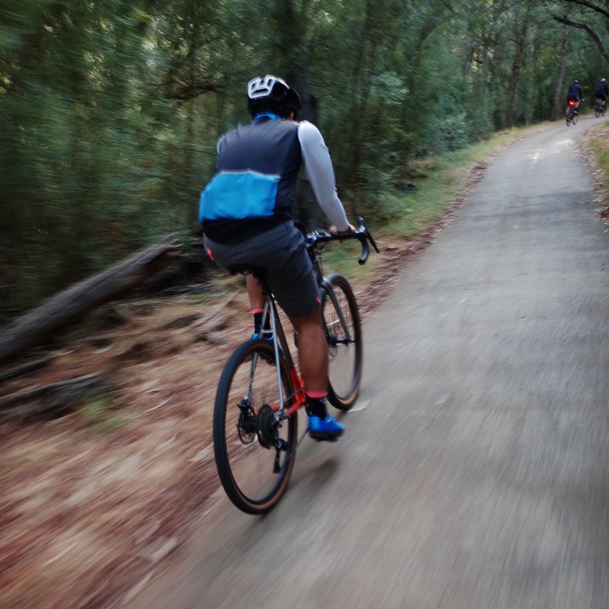 andirdor tweet media