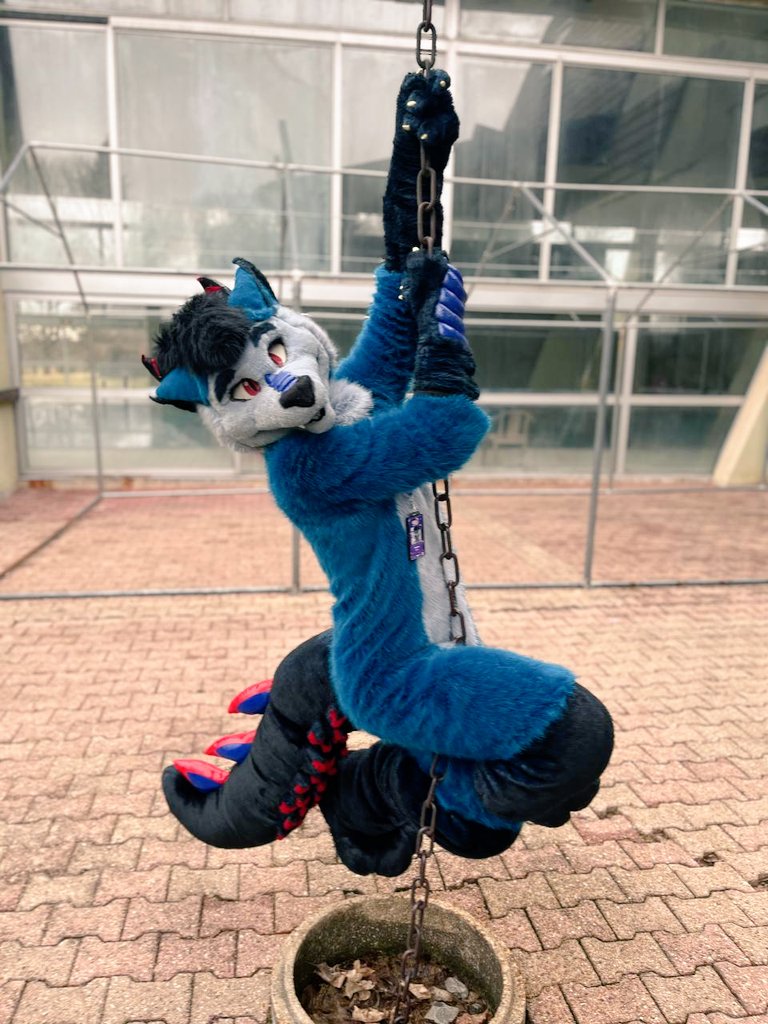 Max & Steamer tweet media