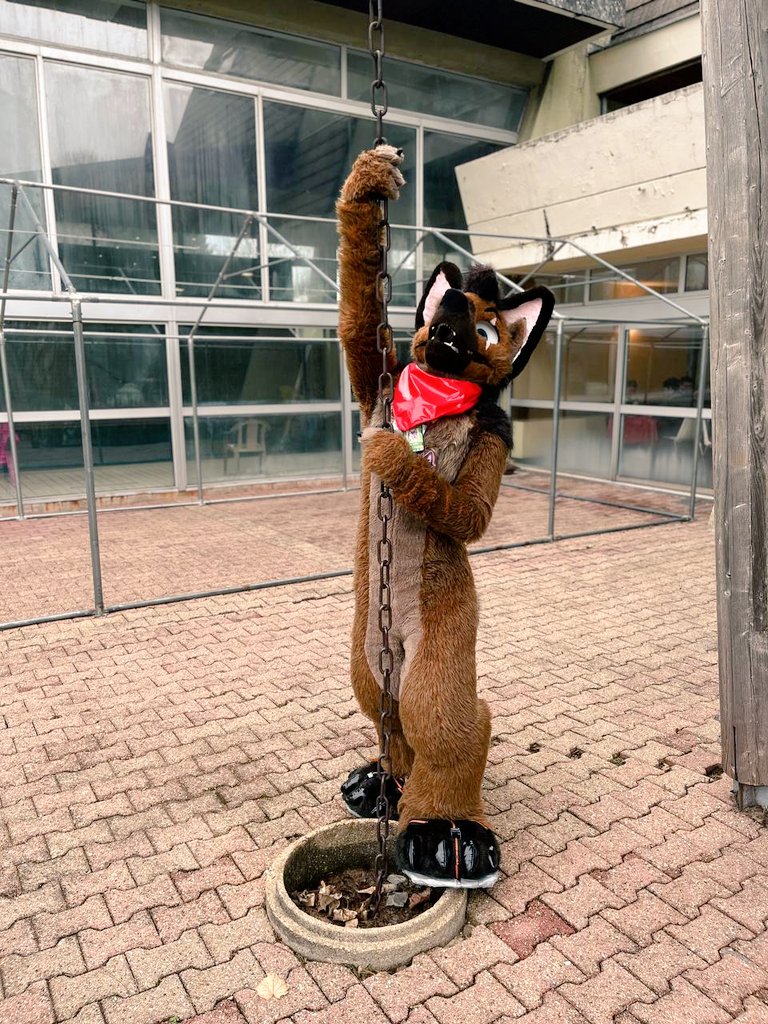 Max & Steamer tweet media