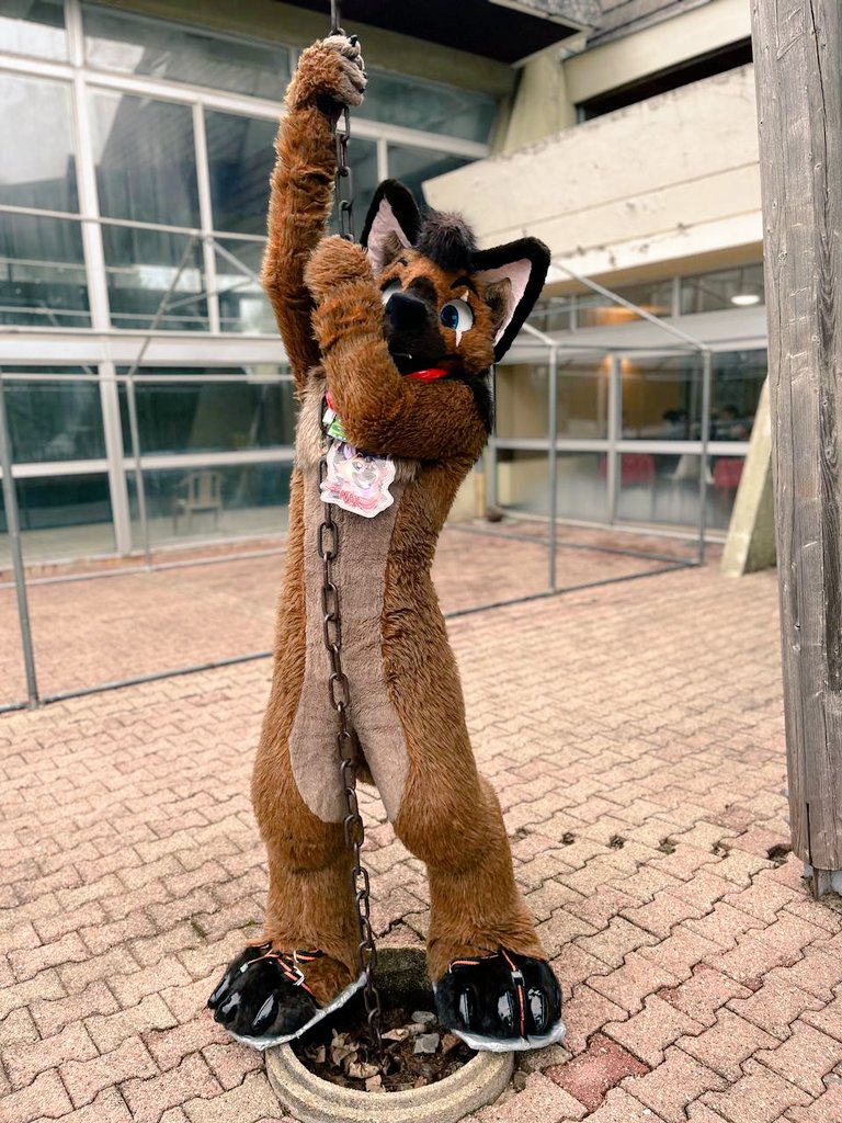 Max & Steamer tweet media