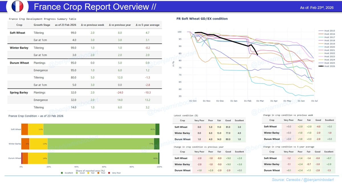 benjamin bodart tweet media