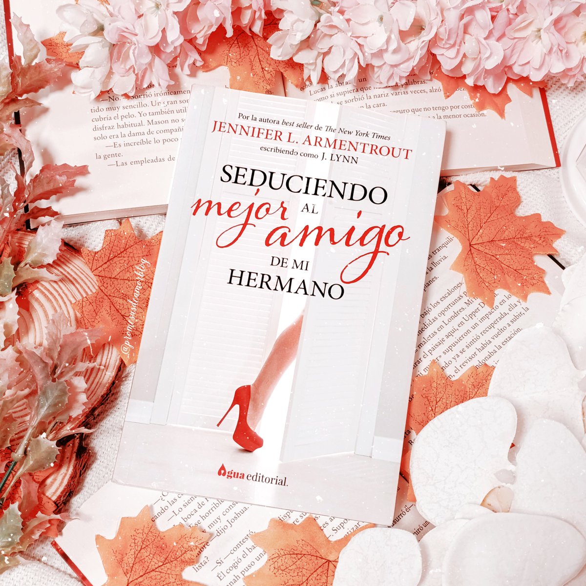 ᑭᖇⵔᗰᗴᔕᗩᔕ ᗪᗴ ᗩᗰⵔᖇ ❤️ tweet media