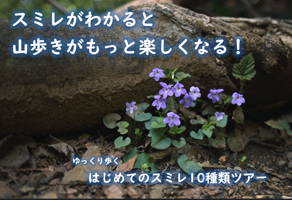 植物が好きな登山ガイド tweet media