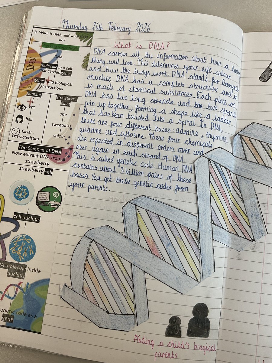 MarshfieldPS's tweet image. In Year 6, we have been studying DNA! Check out some of the amazing examples of work that we have produced! #WowWork #MPSScience #Ambition