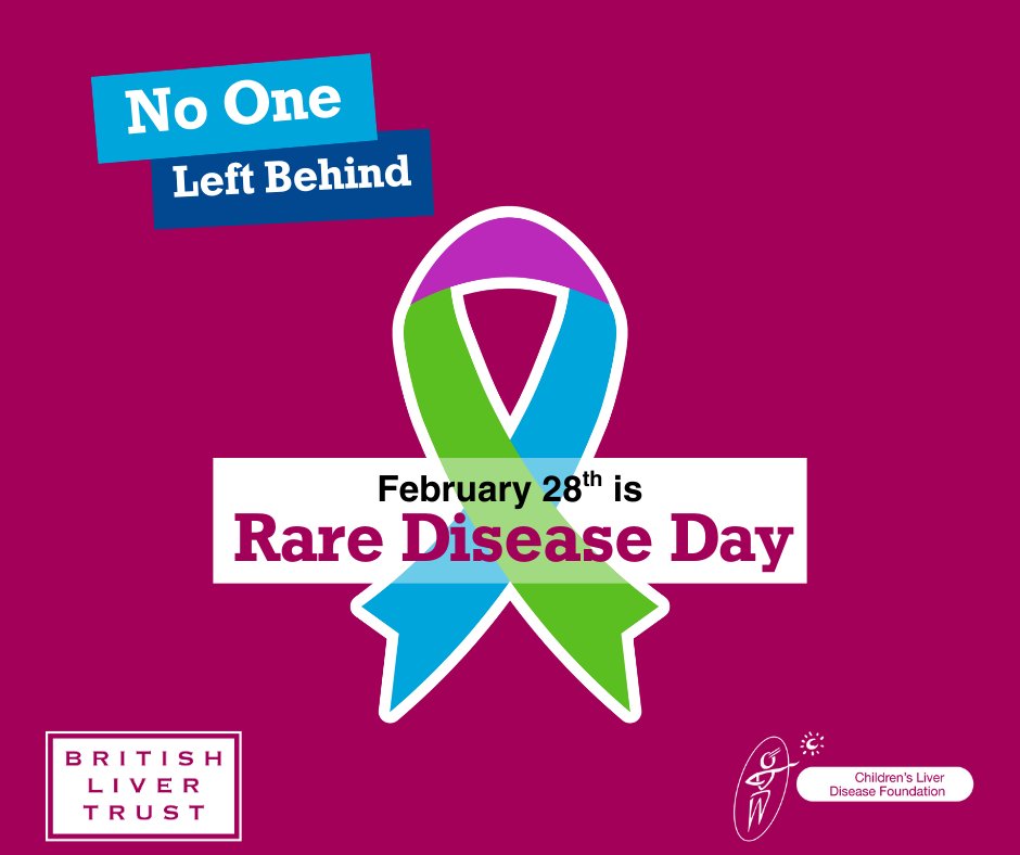 BASL education feed tweet media