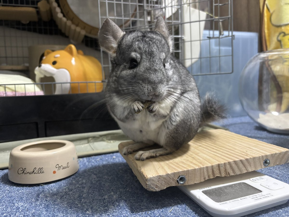 ご飯食べてるの可愛いねぇ♡♡