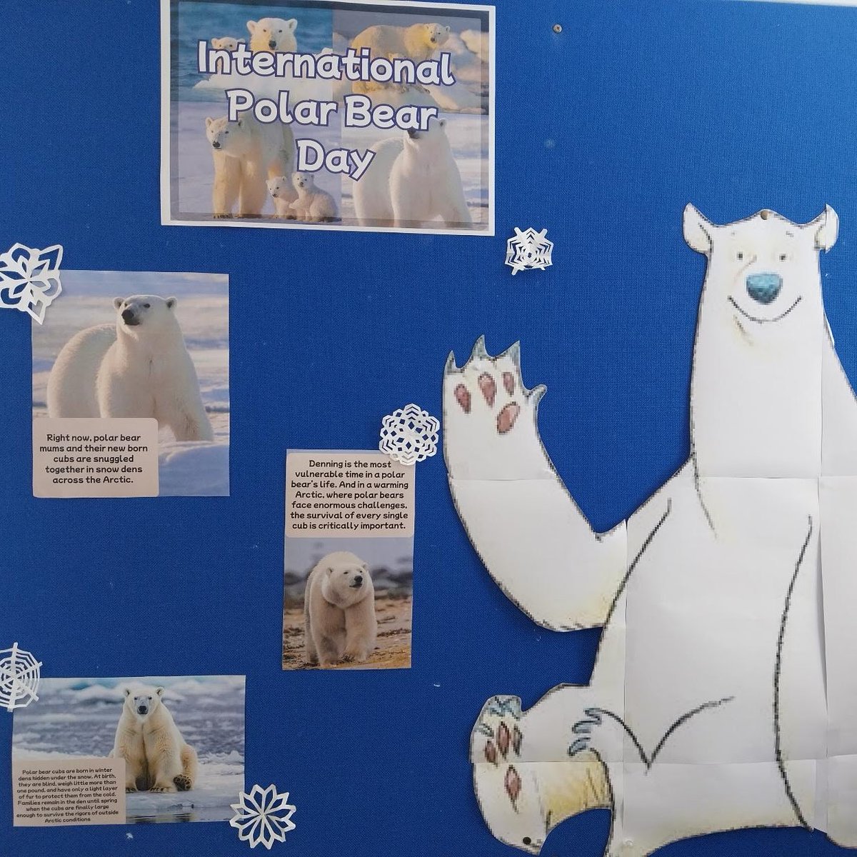 North Lanarkshire Libraries tweet media