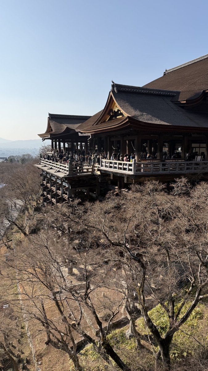 清水寺てらてらてら
#清水寺