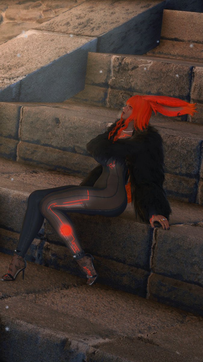 ☀️The Red Sun tweet media