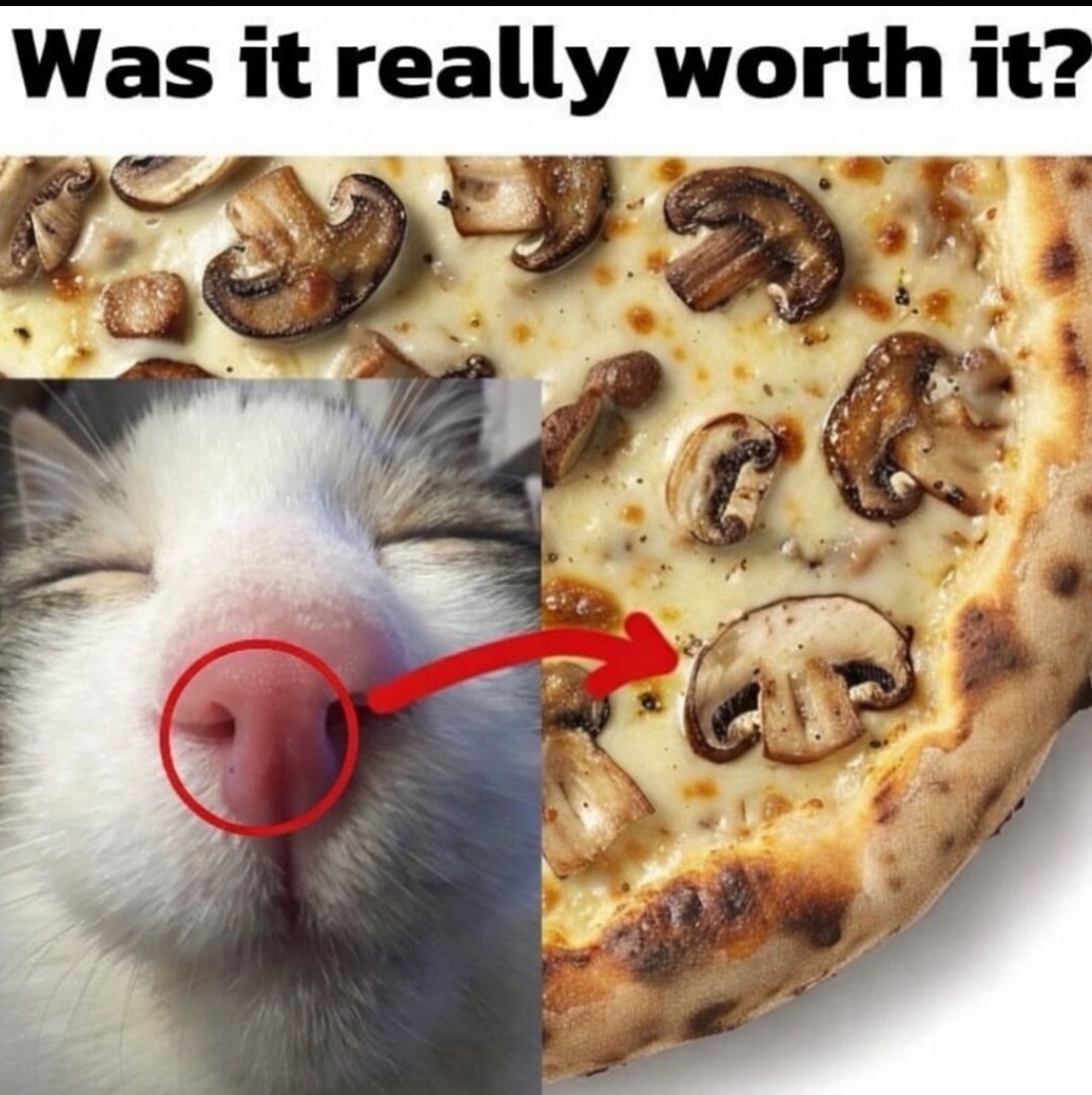 Catsillyness's tweet photo. https://t.co/bWb0nZdMiC