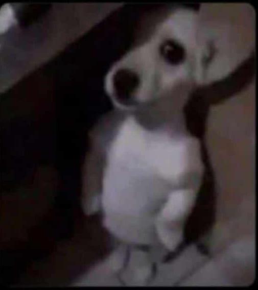 “Insufficient storage, please uninstall some apps ”

Bible App:😅