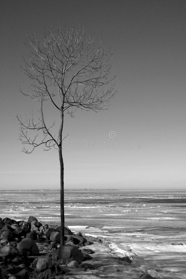 Στίχοι ανακατεμένοι με τσίπουρο😎🍾🥂
Δεν τελειώνουν ποτέ..