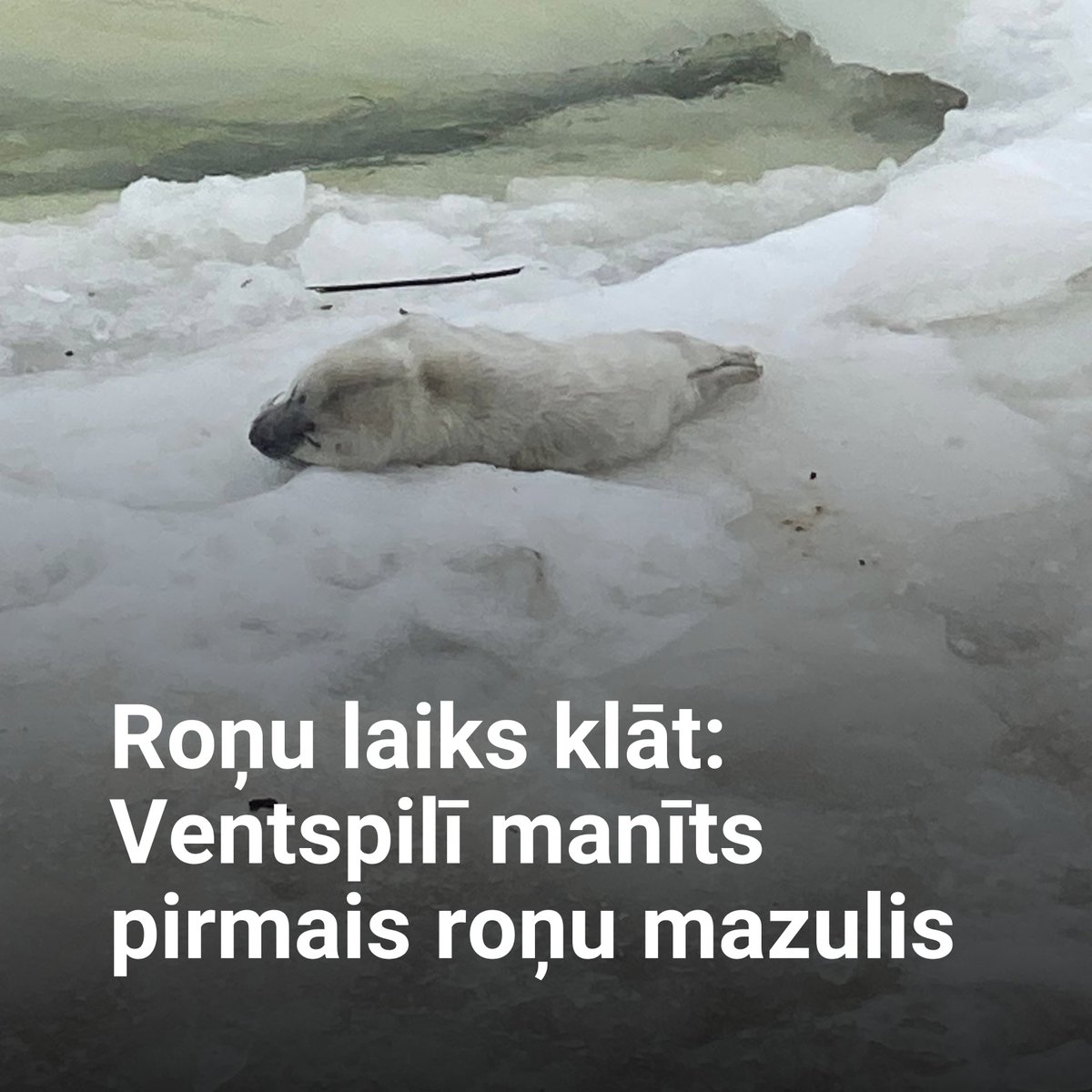 Dabas aizsardzības pārvalde tweet media