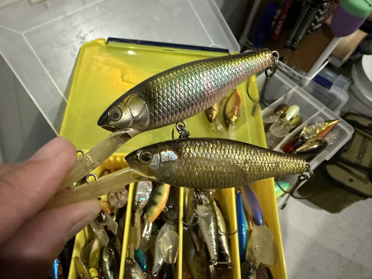 skillful【スキルフル】オカモトタクミ (@skillfullure) / Posts / X