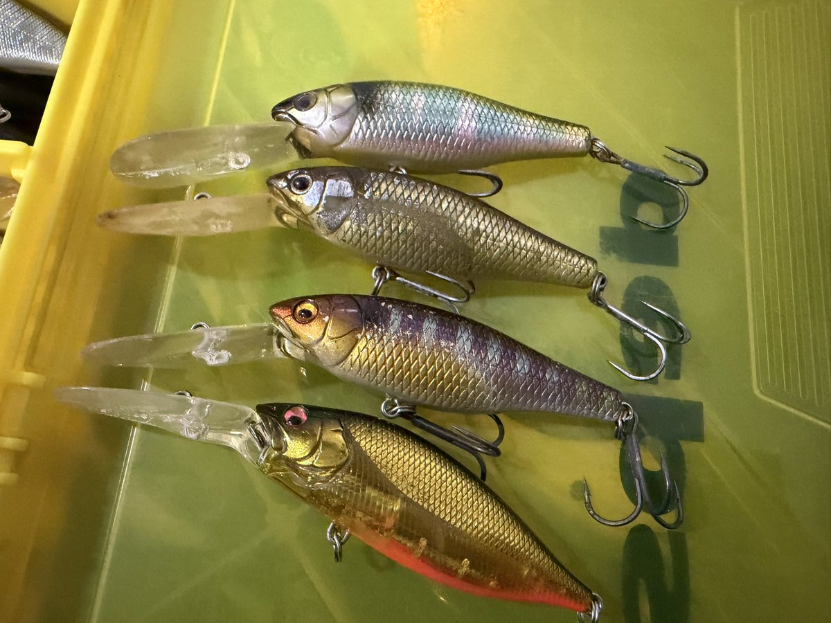 skillful【スキルフル】オカモトタクミ (@skillfullure) / Posts / X