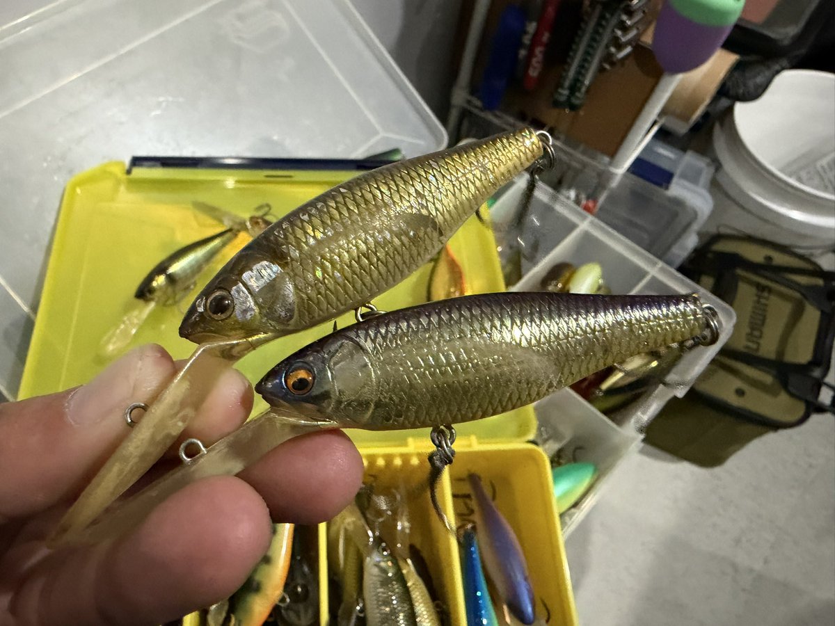 skillful【スキルフル】オカモトタクミ (@skillfullure) / Posts / X