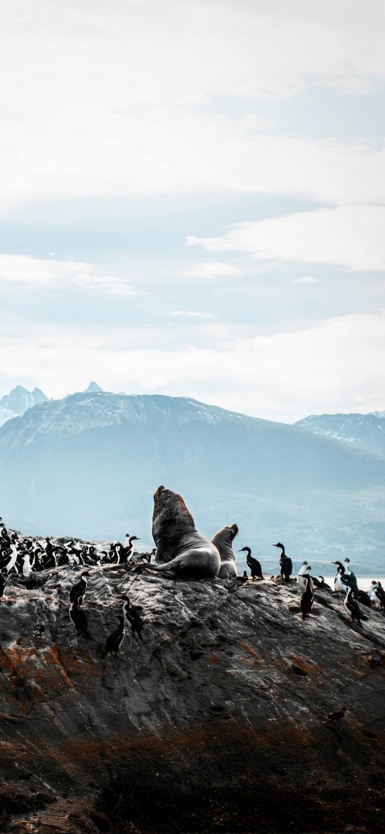 César Hernando Castellanos Orozco tweet media