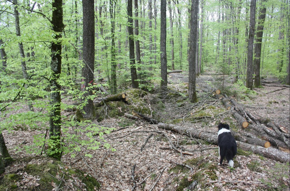 Discovering the frontline and beyond. tweet media