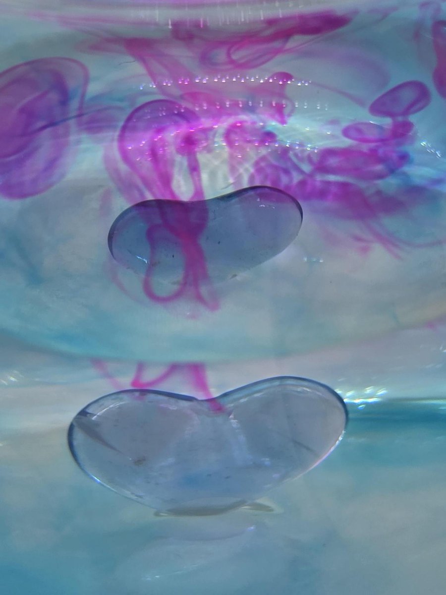 Rosemount Lifelong Learning tweet media