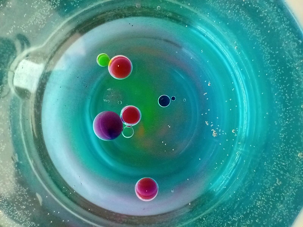 Rosemount Lifelong Learning tweet media