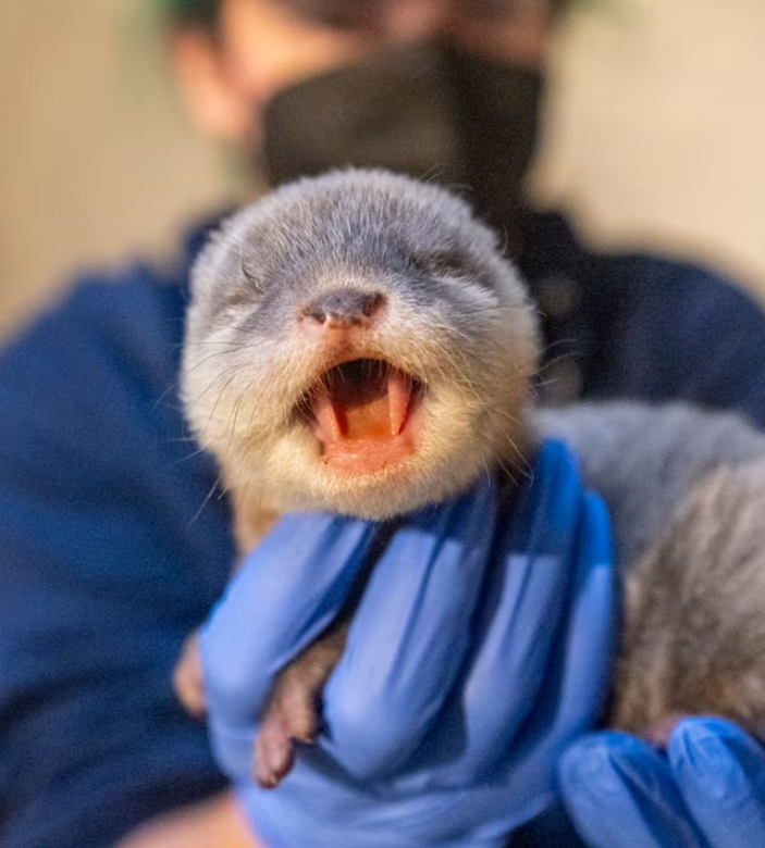 年轻富有的中国人 tweet media