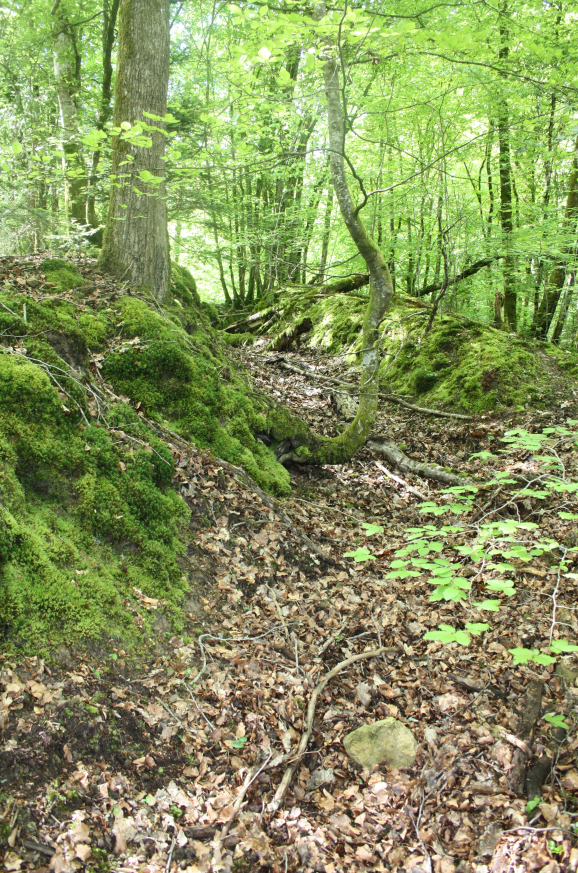 Discovering the frontline and beyond. tweet media